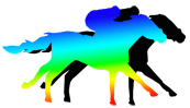 Equine Thermography from The Inner Picture